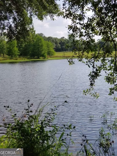 0 Wilcox Rd, Cairo, GA 39827