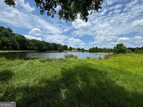 0 Wilcox Rd, Cairo, GA 39827 photo 23