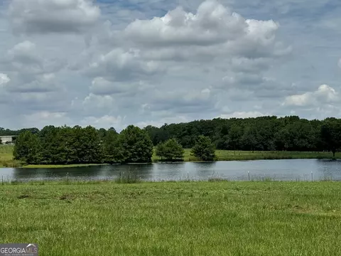 0 Wilcox Rd, Cairo, GA 39827 photo 19