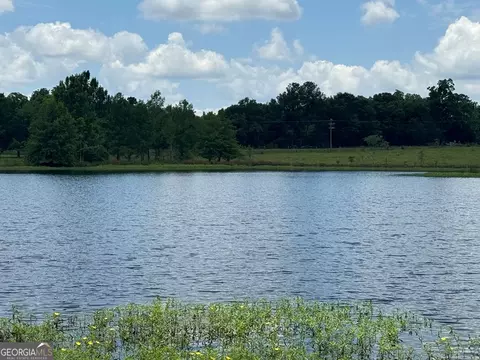 0 Wilcox Rd, Cairo, GA 39827 photo 9