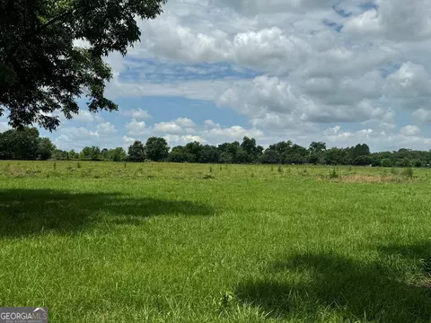 0 Wilcox Rd, Cairo, GA 39827 photo 14