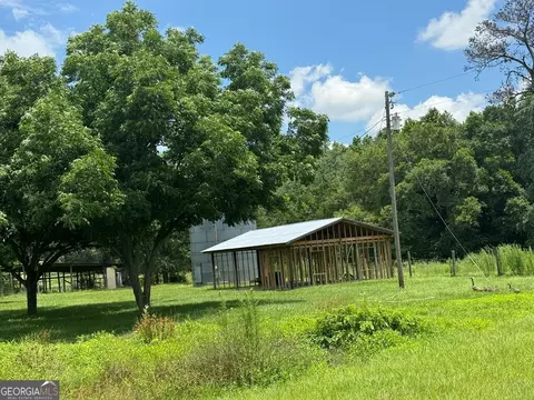 0 Wilcox Rd, Cairo, GA 39827 photo 13