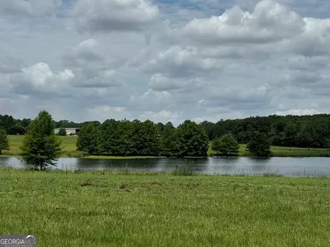 0 Wilcox Rd, Cairo, GA 39827 photo 17