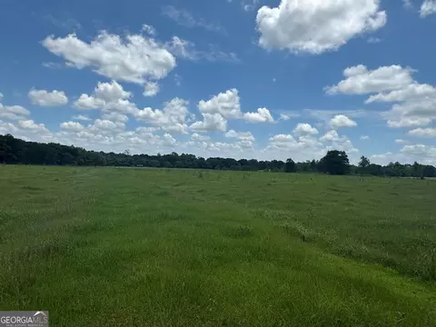 0 Wilcox Rd, Cairo, GA 39827 photo 6