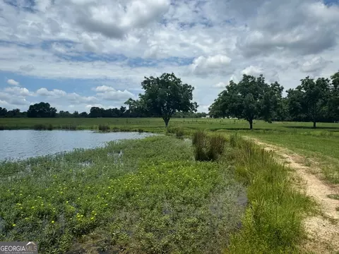 0 Wilcox Rd, Cairo, GA 39827 photo 26