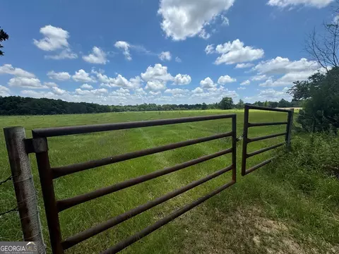 0 Wilcox Rd, Cairo, GA 39827 photo 5
