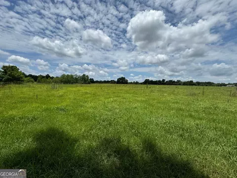 0 Wilcox Rd, Cairo, GA 39827 photo 10