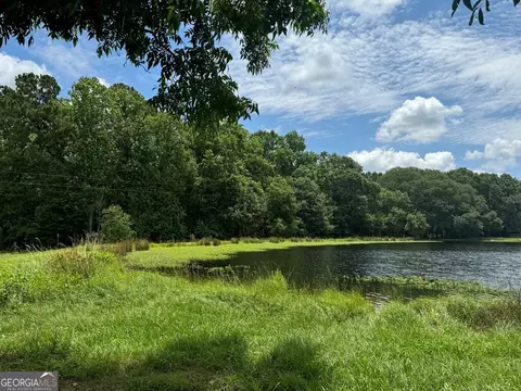 0 Wilcox Rd, Cairo, GA 39827 photo 22