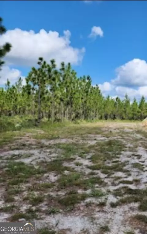 490 Boulevard St, Folkston, GA 31537