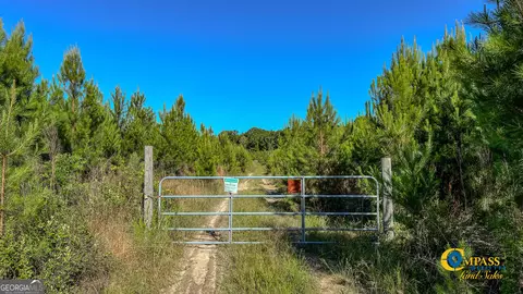 0 Marvis Chapman Rd, Ideal, GA 31041