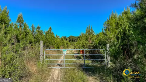 0 Marvis Chapman Rd, Ideal, GA 31041