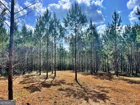 10 Bagley Rd, Forsyth, GA 31029