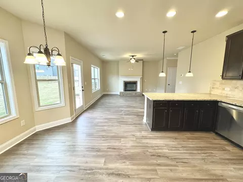 2405 Aukerman Trce, Hampton, GA 30228 photo 8