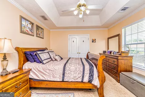 10582 Barberry Dr, Hampton, GA 30228 photo 17