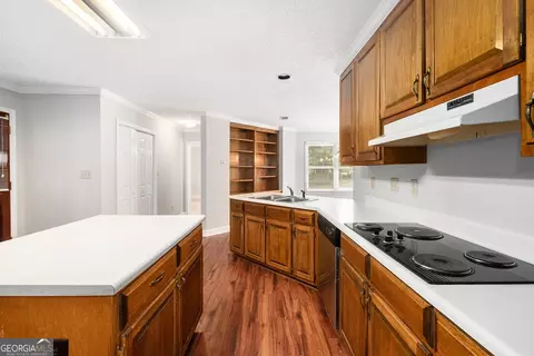 445 Pendleton Trl, Tyrone, GA 30290 photo 19