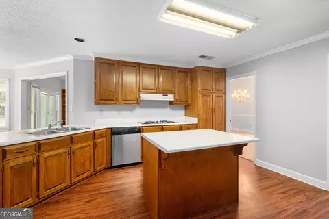 445 Pendleton Trl, Tyrone, GA 30290 photo 20