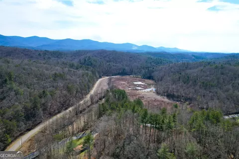0 Boardtown Rd #TRACT 2, Cherry Log, GA 30522 photo 10