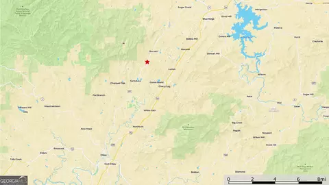 0 Boardtown Rd #TRACT 2, Cherry Log, GA 30522 photo 15