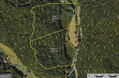0 Boardtown Rd #TRACT 2, Cherry Log, GA 30522 photo 14