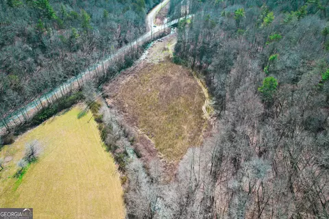 0 Boardtown Rd #TRACT 2, Cherry Log, GA 30522 photo 5