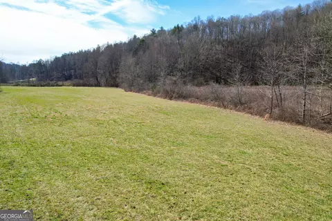 0 Boardtown Rd #TRACT 2, Cherry Log, GA 30522 photo 9