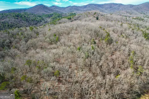 0 Boardtown Rd #TRACT 2, Cherry Log, GA 30522 photo 8