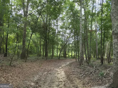 0 County Line Rd, Pelham, GA 31779