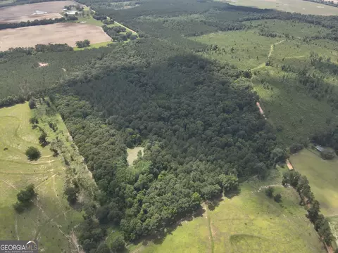 0 Lime Sink Rd, Pelham, GA 31779