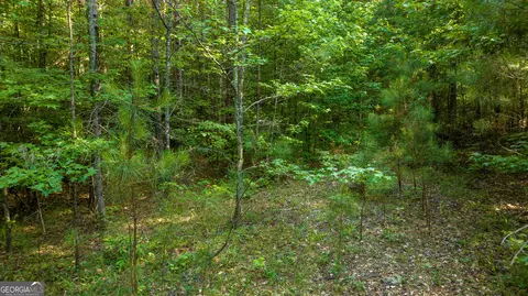 0 Newnan Rd, Brooks, GA 30205 photo 7