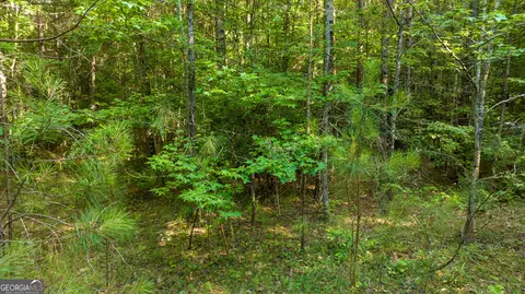 0 Newnan Rd, Brooks, GA 30205 photo 8