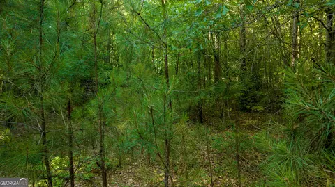 0 Newnan Rd, Brooks, GA 30205 photo 10