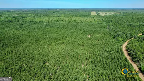 0 Miller Rd W, Mauk, GA 31058