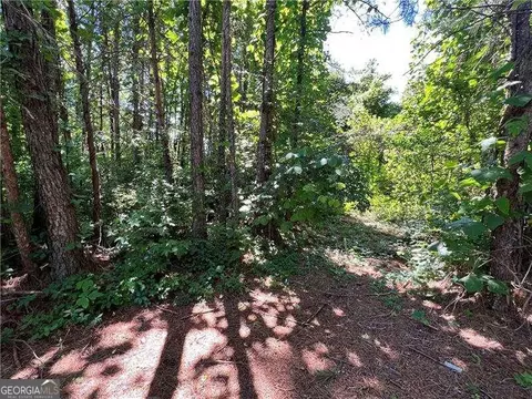 0 Pioneer Rd, Jasper, GA 30143 photo 7