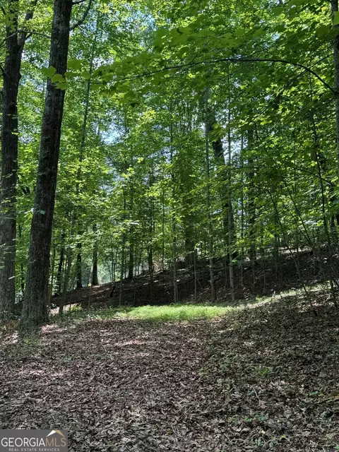 Tract5 Arrow Ridge, Mccaysville, GA 30555