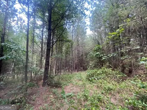 5 Sheppard Road, Franklin, GA 30217