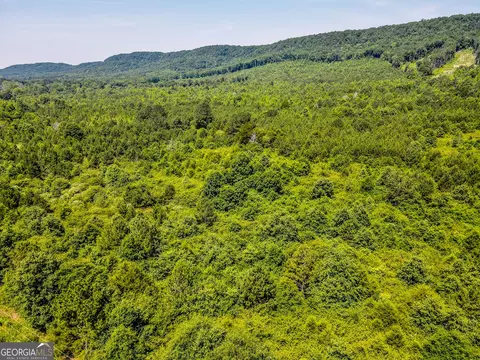 0 Back Valley Rd, Lyerly, GA 30730 photo 13