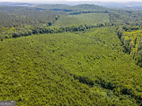 0 Back Valley Rd, Lyerly, GA 30730 photo 15