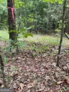 0 Gooch Rd #LOT E), Eastman, GA 31023