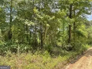 0 Gooch Rd #LOT F, Eastman, GA 31023