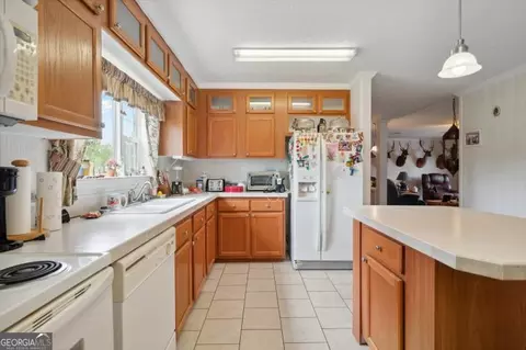 382 Howard Xing, Nahunta, GA 31553 photo 17