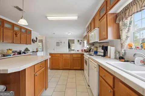 382 Howard Xing, Nahunta, GA 31553 photo 14
