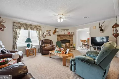 382 Howard Xing, Nahunta, GA 31553 photo 11