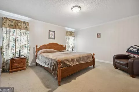 382 Howard Xing, Nahunta, GA 31553 photo 21