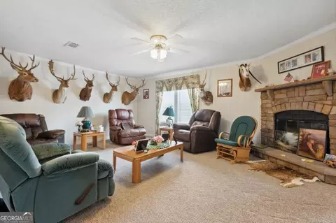 382 Howard Xing, Nahunta, GA 31553 photo 12