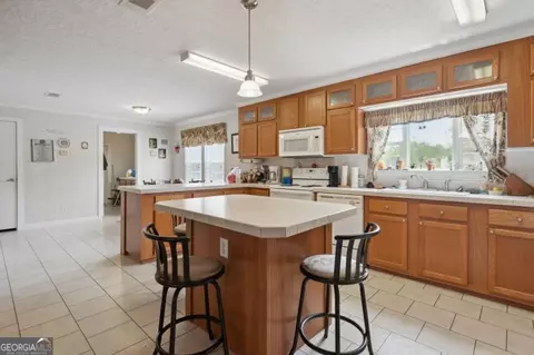 382 Howard Xing, Nahunta, GA 31553 photo 13