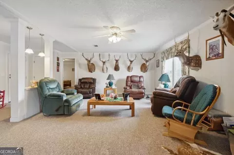 382 Howard Xing, Nahunta, GA 31553 photo 10