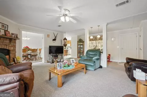 382 Howard Xing, Nahunta, GA 31553 photo 9