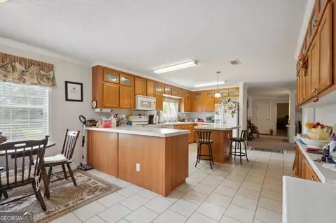 382 Howard Xing, Nahunta, GA 31553 photo 15