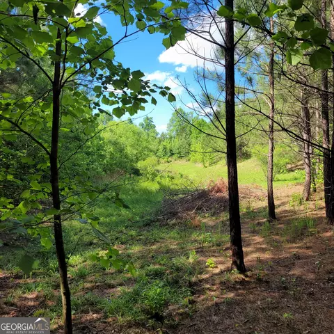 544 B Johnson Rd SE, Fairmount, GA 30139 photo 2
