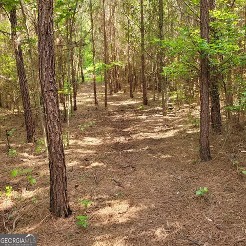 544 B Johnson Rd SE, Fairmount, GA 30139 photo 3